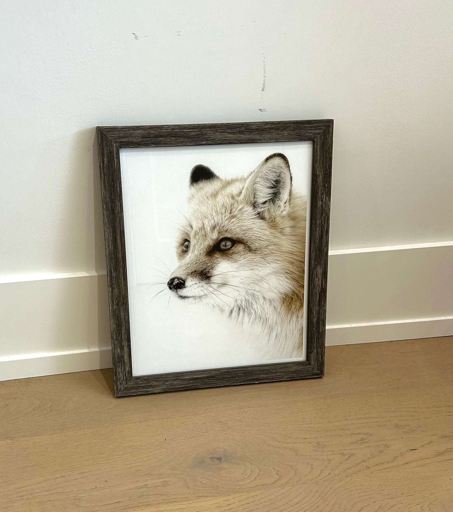 MOD. FARM - RED FOX - MINI GREY FRAMED PRINT