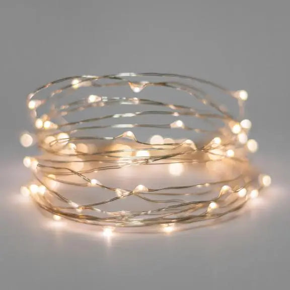 20 LED Silver Fairy Lights - Warm White