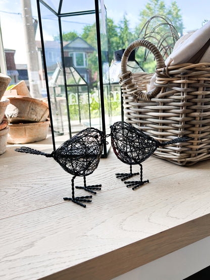 SET OF TWO WIRE BIRDIES