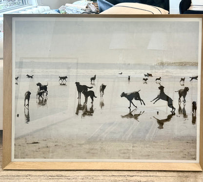 DOG DAYS AT THE BEACH FRAMED PRINT
