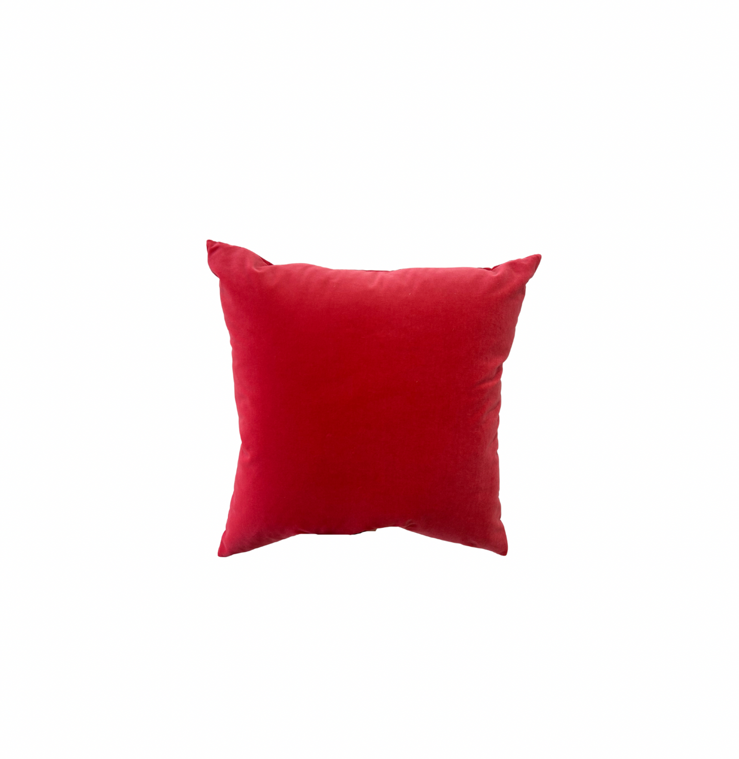 THE RASPBERRY RHUBARB THROW PILLOW